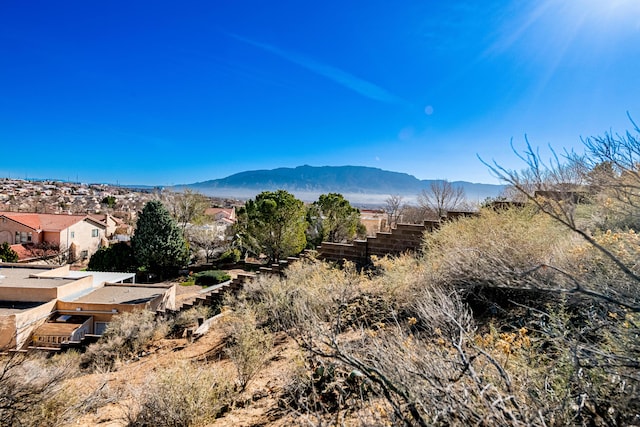 view of mountain feature