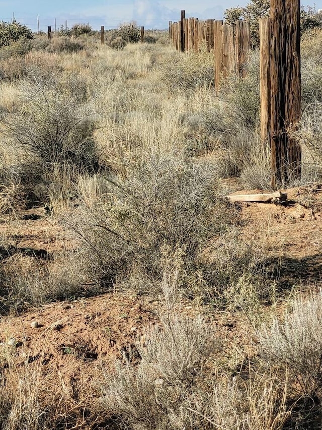 14 14, Rio Rancho, NM 87124 - photo 19