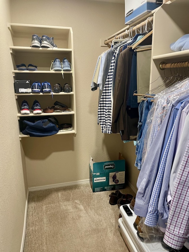 walk in closet featuring carpet floors