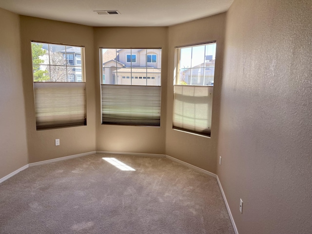 spare room with plenty of natural light, baseboards, carpet, and a textured wall