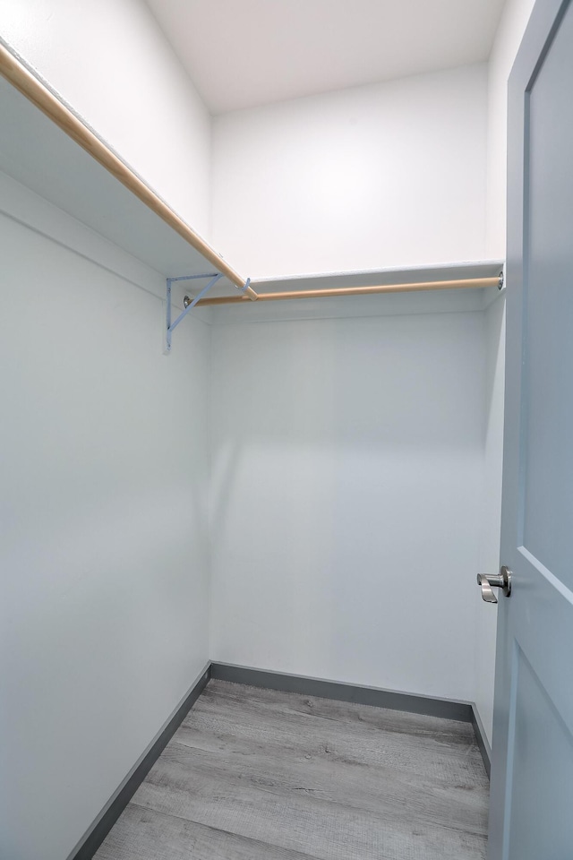walk in closet featuring wood finished floors