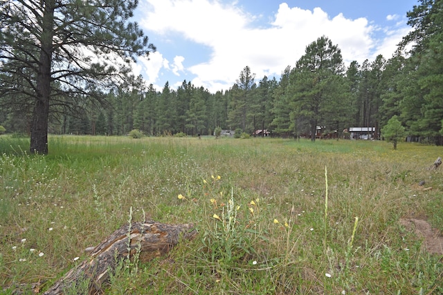 LOT1 Hidden Valley Rd, Jemez Springs, NM 87025