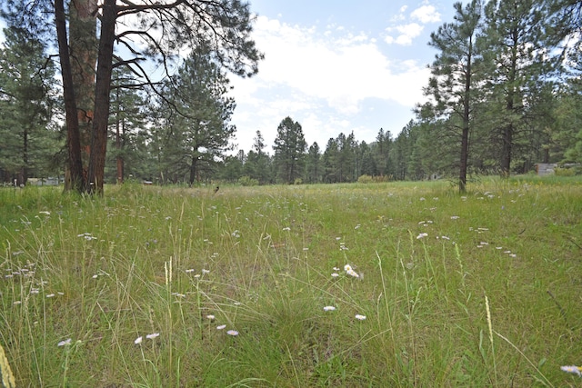 LOT1 Hidden Valley Rd, Jemez Springs, NM 87025