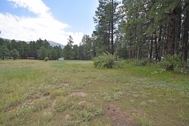 LOT1 Hidden Valley Rd, Jemez Springs, NM 87025