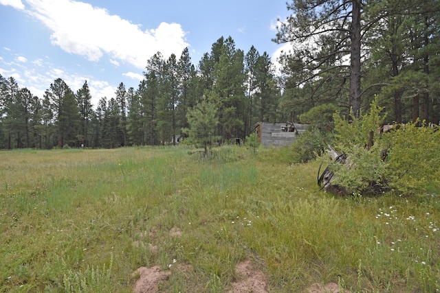 LOT1 Hidden Valley Rd, Jemez Springs, NM 87025