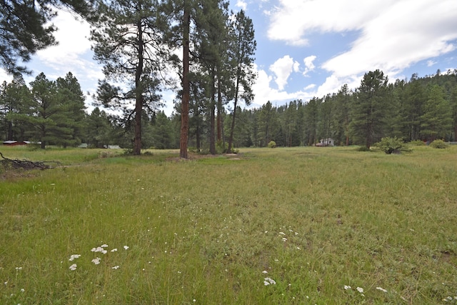LOT1 Hidden Valley Rd, Jemez Springs, NM 87025