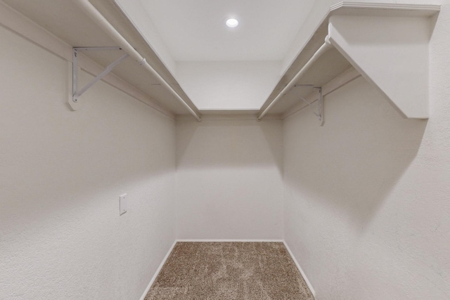 1505 Walter St SE, Albuquerque, NM 87102 - walk in closet with carpet flooring