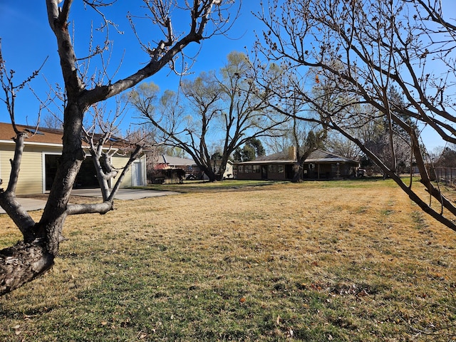 view of yard featuring an attached garage and concrete driveway