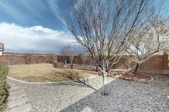 view of yard featuring a fenced backyard