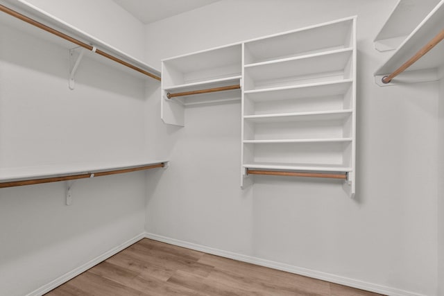 walk in closet featuring wood finished floors