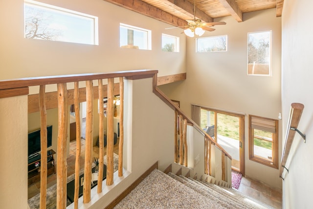 stairway featuring beam ceiling, wooden ceiling, ceiling fan, and a towering ceiling