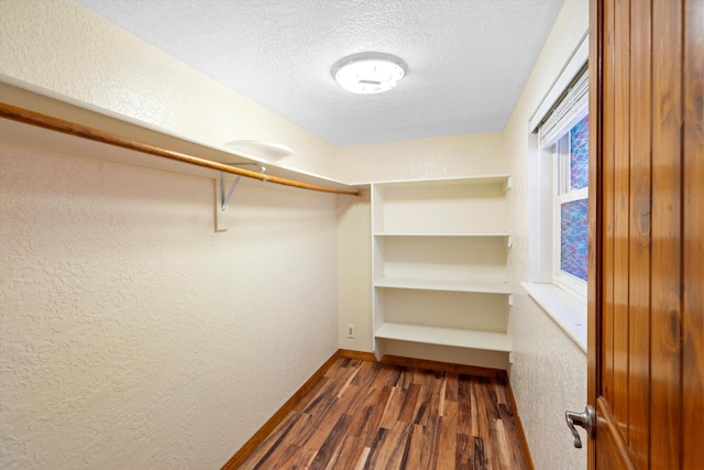 walk in closet with dark wood-style floors