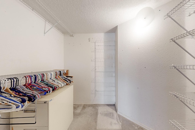 spacious closet featuring light carpet