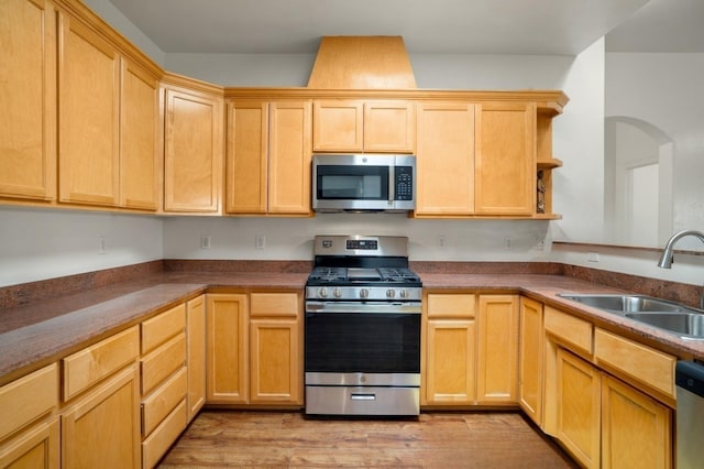 kitchen with light wood-style flooring, light brown cabinets, appliances with stainless steel finishes, and a sink