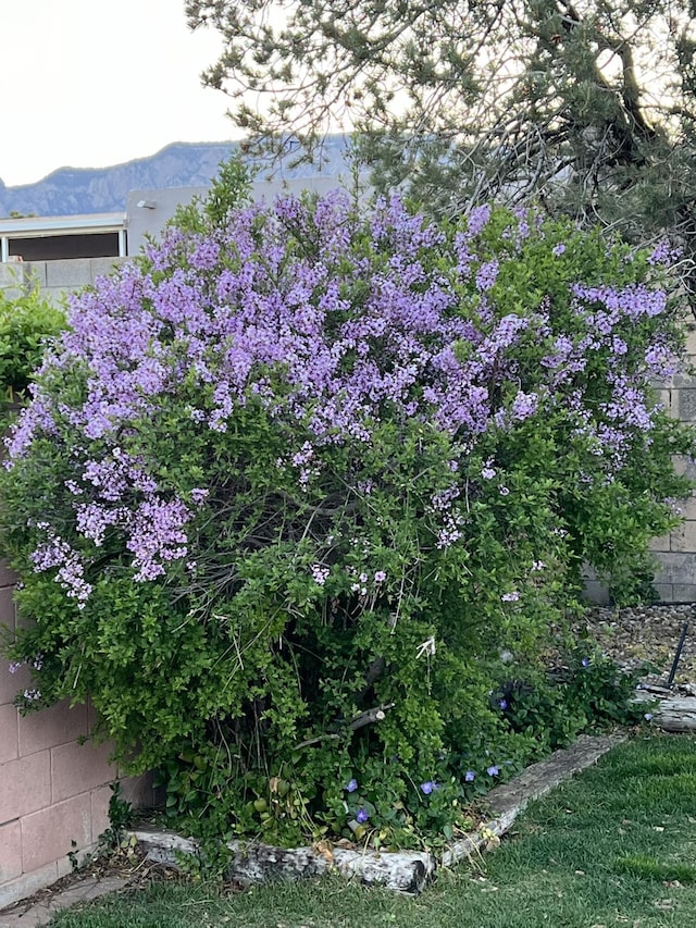 view of yard featuring a mountain view and fence