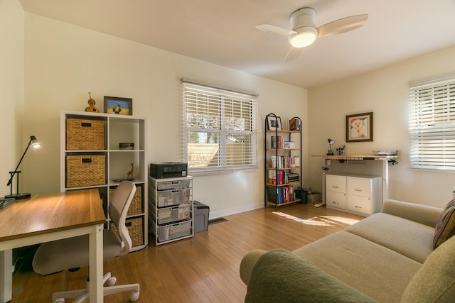 office with hardwood / wood-style floors, a ceiling fan, and baseboards