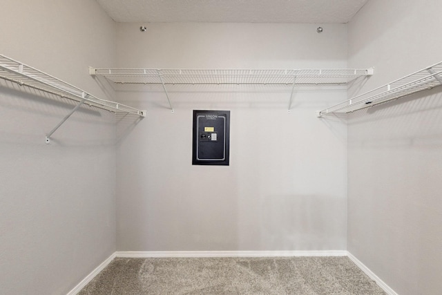 walk in closet with electric panel and carpet flooring