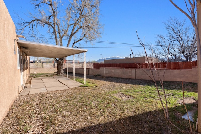 view of yard with a patio and a fenced backyard