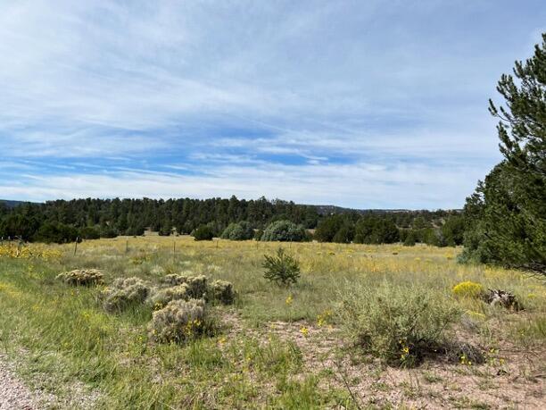 LOT9 Copperweed Rd, Ramah, NM 87321
