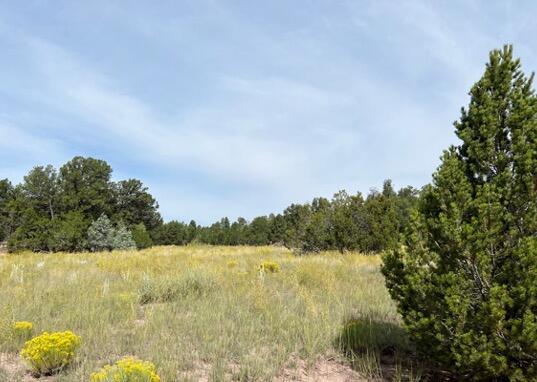 LOT9 Copperweed Rd, Ramah, NM 87321