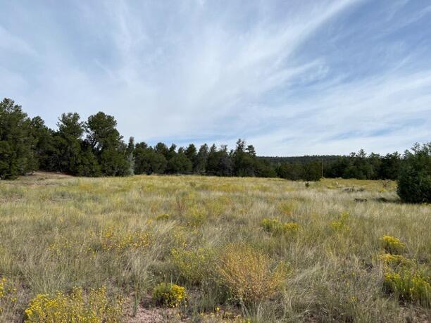 LOT9 Copperweed Rd, Ramah, NM 87321