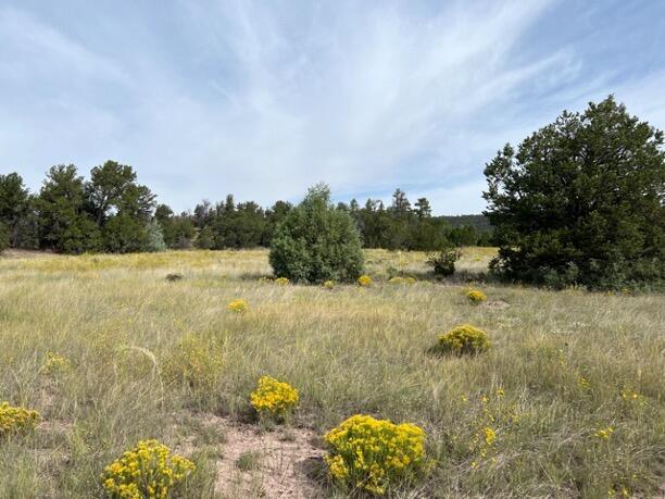 LOT9 Copperweed Rd, Ramah, NM 87321