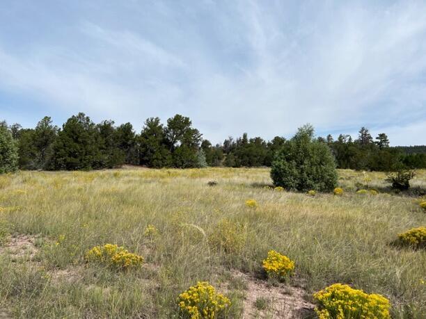LOT9 Copperweed Rd, Ramah, NM 87321