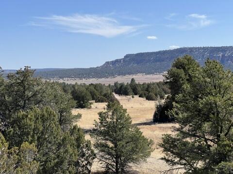 LOT9 Copperweed Rd, Ramah, NM 87321