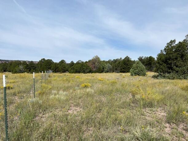 LOT9 Copperweed Rd, Ramah, NM 87321