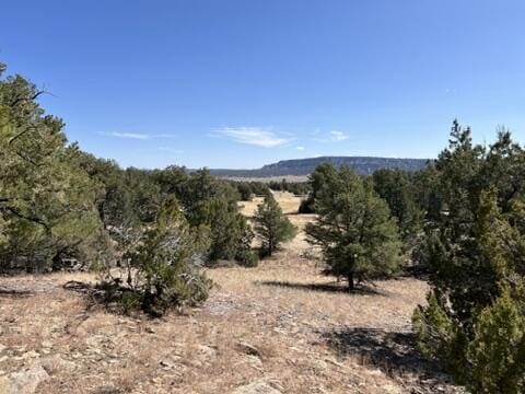LOT9 Copperweed Rd, Ramah, NM 87321
