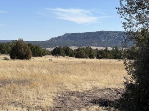 LOT9 Copperweed Rd, Ramah, NM 87321