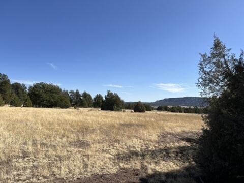 LOT9 Copperweed Rd, Ramah, NM 87321