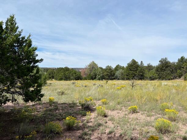 LOT9 Copperweed Rd, Ramah, NM 87321