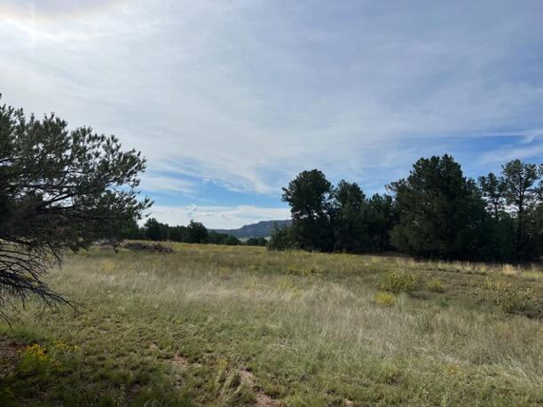 LOT9 Copperweed Rd, Ramah, NM 87321