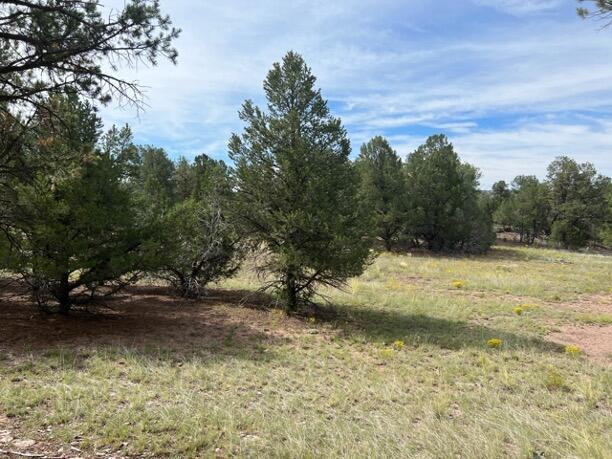 LOT9 Copperweed Rd, Ramah, NM 87321