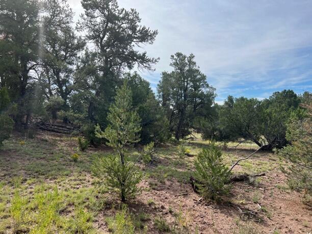 LOT9 Copperweed Rd, Ramah, NM 87321