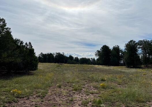 LOT9 Copperweed Rd, Ramah, NM 87321