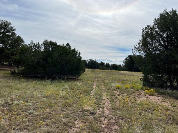LOT9 Copperweed Rd, Ramah, NM 87321