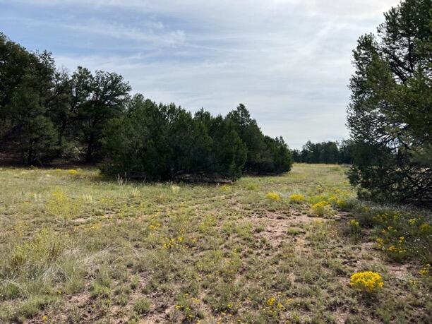 LOT9 Copperweed Rd, Ramah, NM 87321