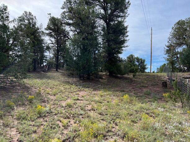 LOT9 Copperweed Rd, Ramah, NM 87321
