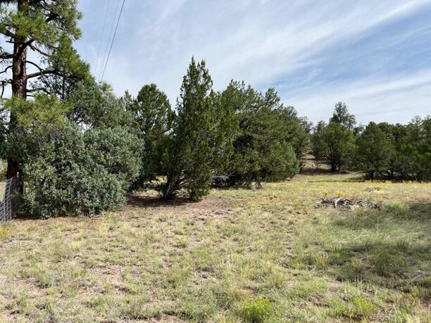 LOT9 Copperweed Rd, Ramah, NM 87321
