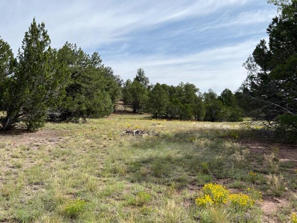LOT9 Copperweed Rd, Ramah, NM 87321