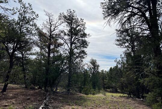 LOT9 Copperweed Rd, Ramah, NM 87321