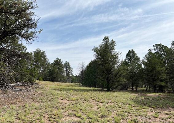 LOT9 Copperweed Rd, Ramah, NM 87321