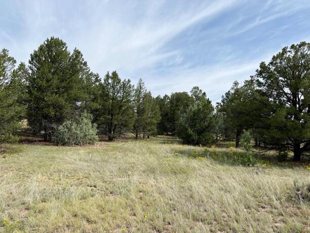 LOT9 Copperweed Rd, Ramah, NM 87321