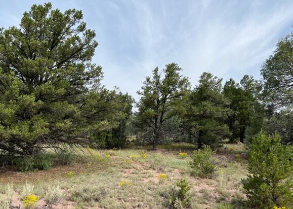 LOT9 Copperweed Rd, Ramah, NM 87321