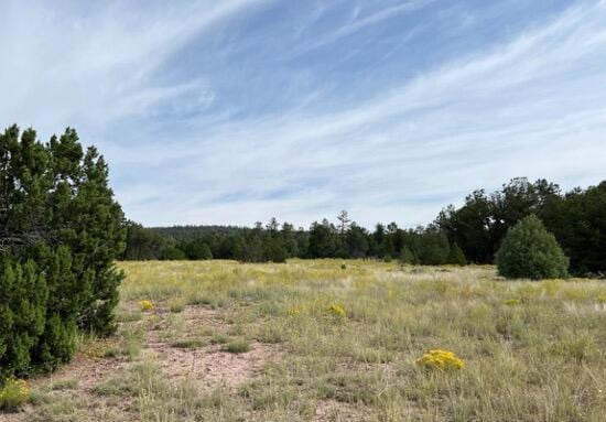 LOT9 Copperweed Rd, Ramah, NM 87321