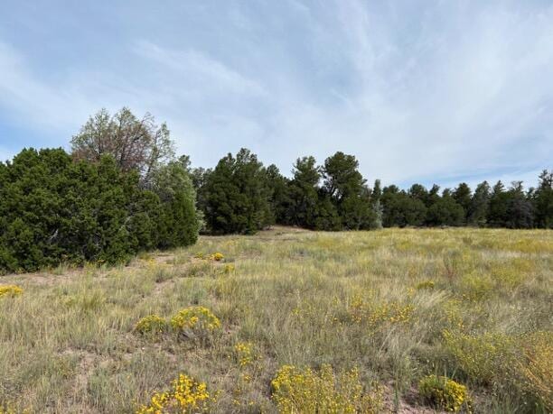 LOT9 Copperweed Rd, Ramah, NM 87321