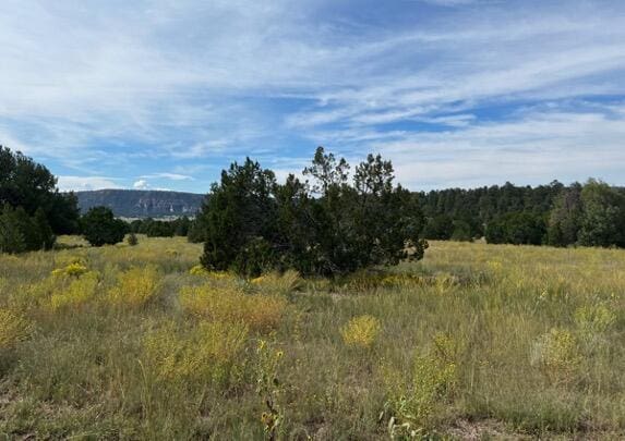 LOT9 Copperweed Rd, Ramah, NM 87321
