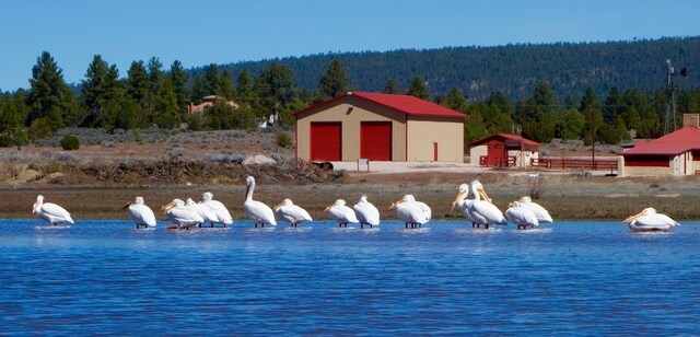 LOT9 Copperweed Rd, Ramah, NM 87321